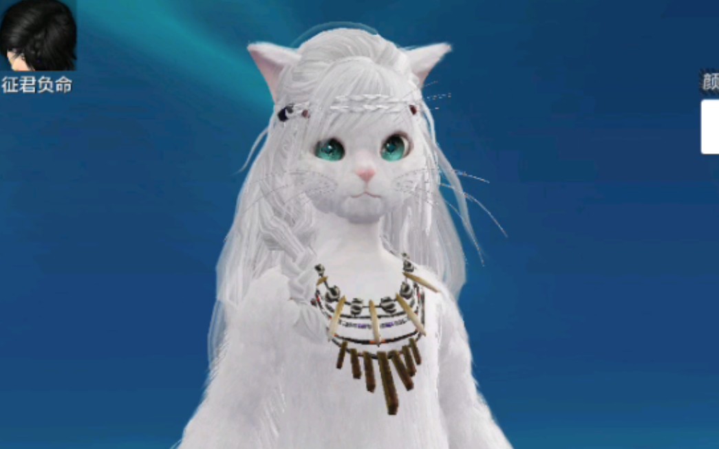 【妄想山海】捏猫猫_哔哩哔哩bilibili