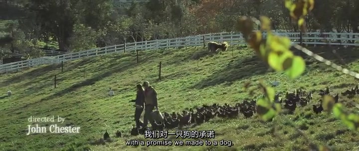 [图]【纪录片-双语】最大的小小农场 The Biggest Little Farm (2018)_