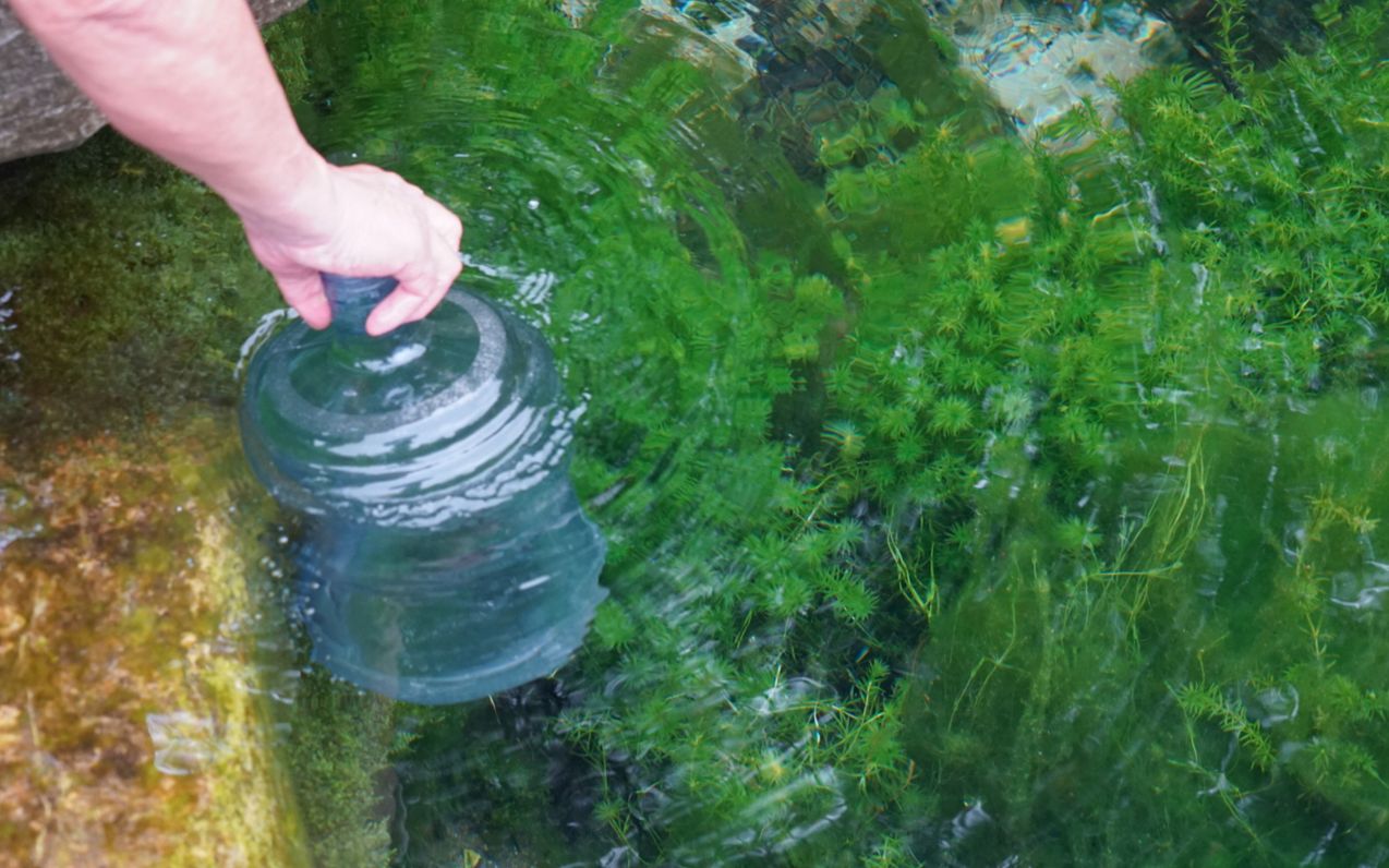 济南有1200多处泉水,趵突泉是游客去的,老济南都来这里哔哩哔哩bilibili