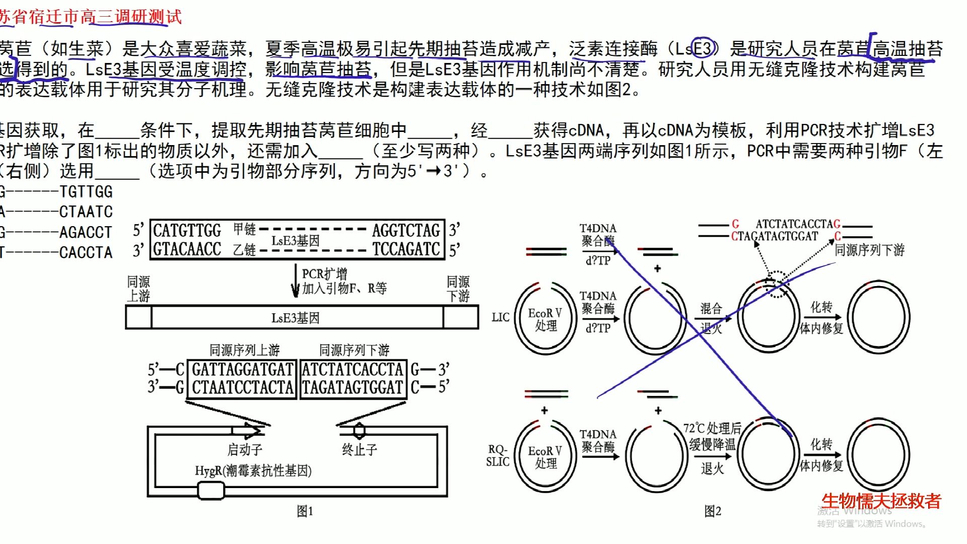 无缝克隆技术之LIC技术24江苏宿迁一模基因工程大题哔哩哔哩bilibili