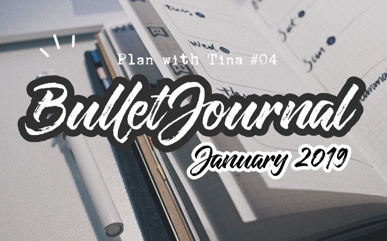 January 2019 | Bullet Journal Setup | BuJo排版设计 | Plan with Tina #04哔哩哔哩bilibili