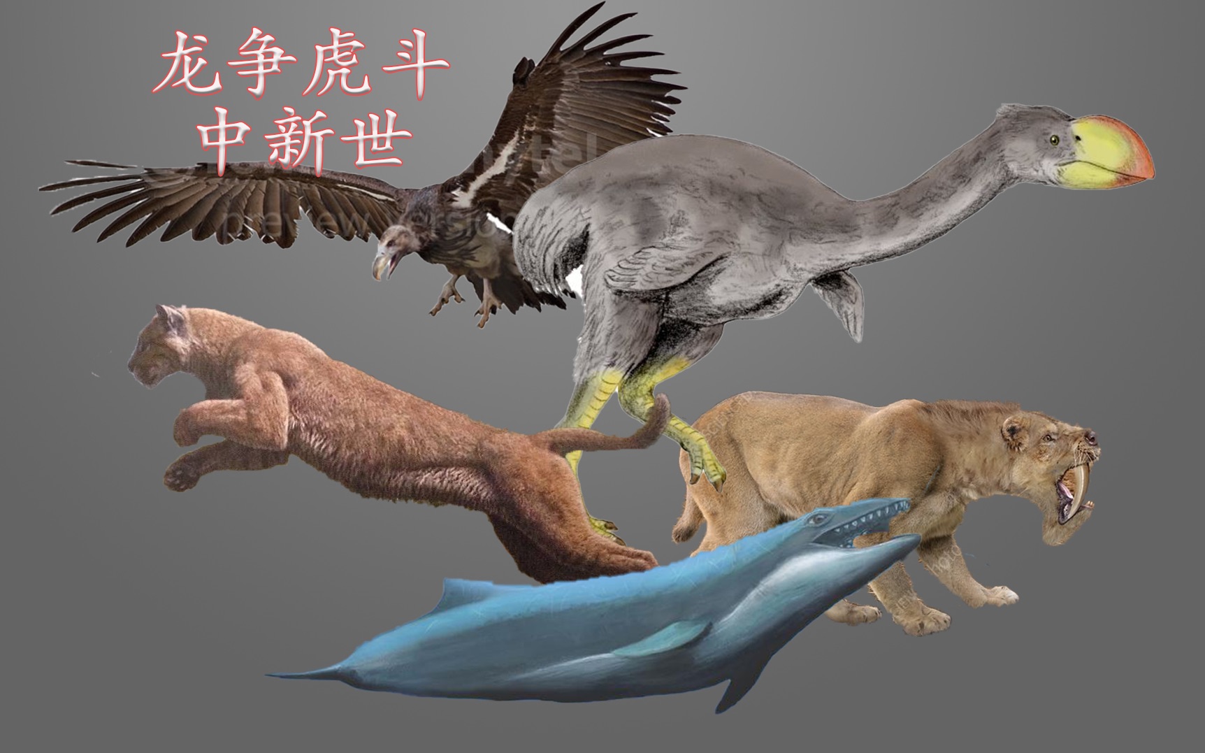 【新生代传奇】05:龙争虎斗的中新世时代