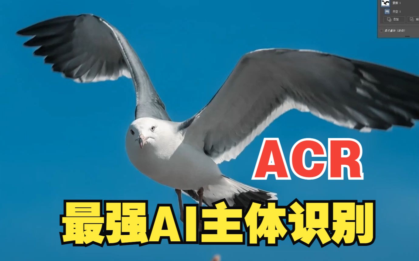 ACR实用功能:AI主体识别、背景识别超全讲解!!提高你的修图效率哔哩哔哩bilibili