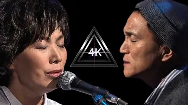 山本潤子-哔哩哔哩_Bilibili