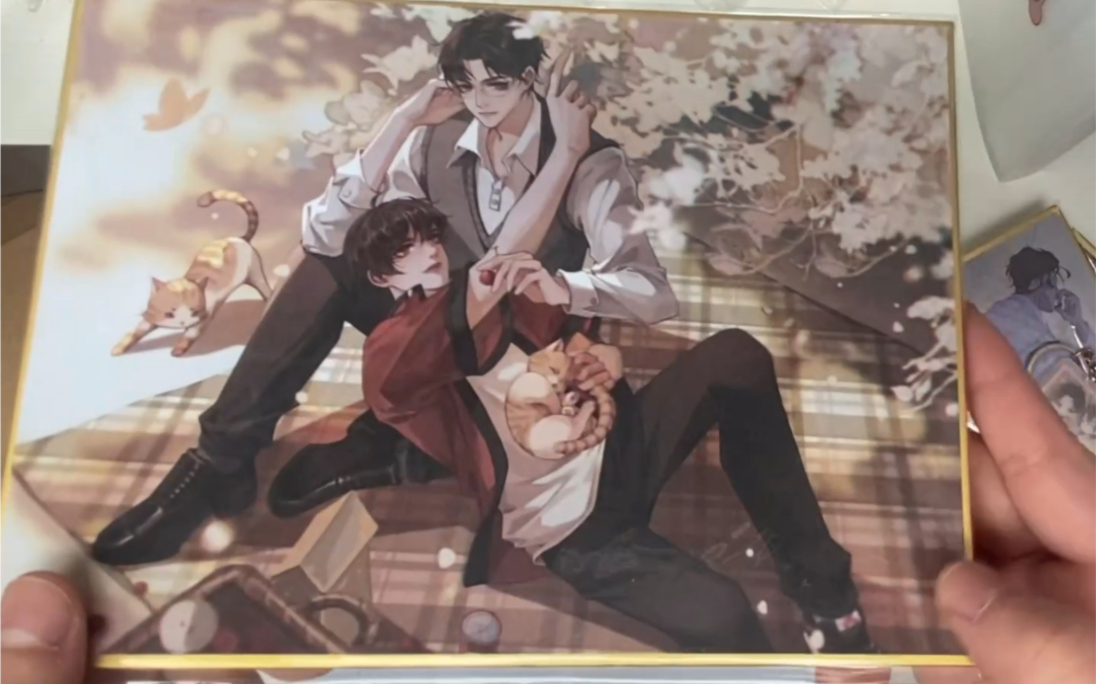 原耽开箱某某色纸破云