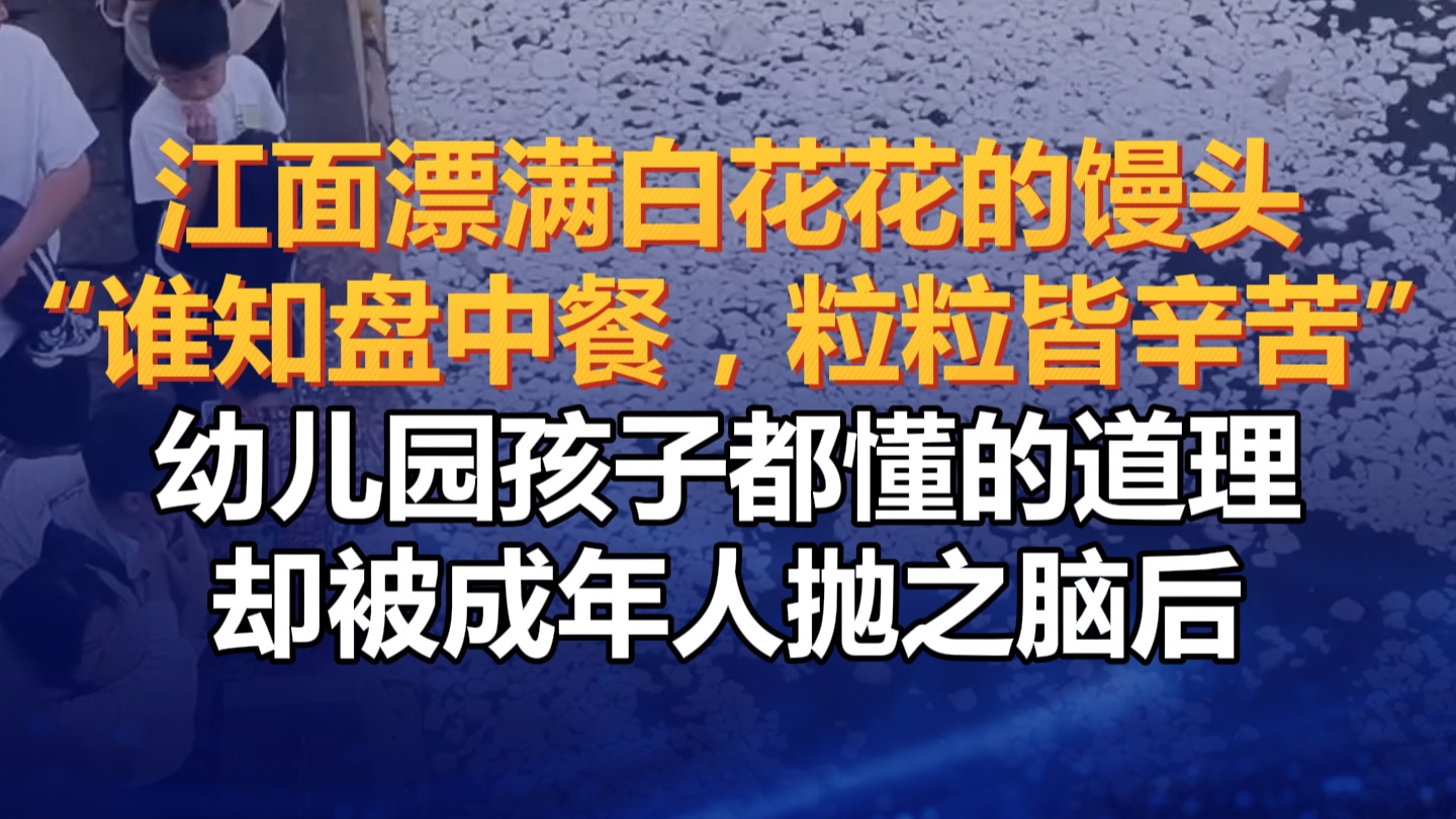游客喂鱼江面漂满白花花的馒头，媒体评：“谁知盘中餐，粒粒皆辛苦”幼儿园孩子都懂的道理，却被成年人抛之脑后