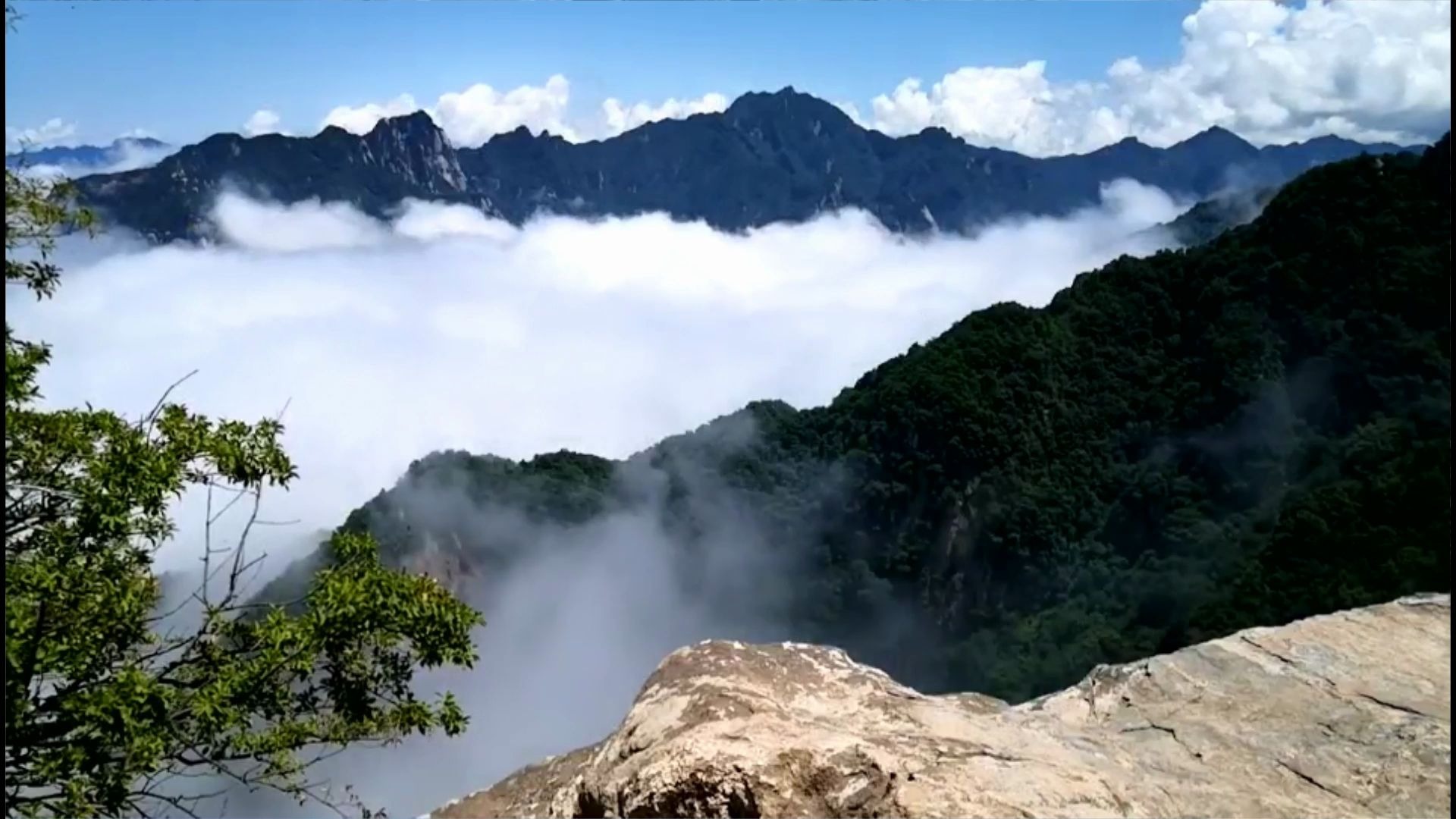 嘉午台云海合集(来自驴友:徒步旅行)_哔哩哔哩 (゜-゜)つロ 干杯