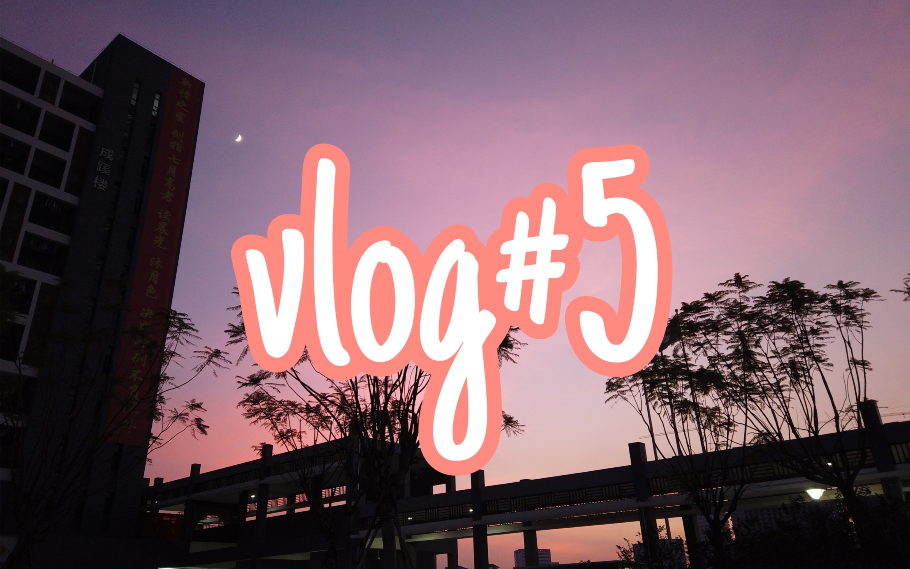 vlog#5 高三日记|300s回顾|献给18岁哔哩哔哩bilibili