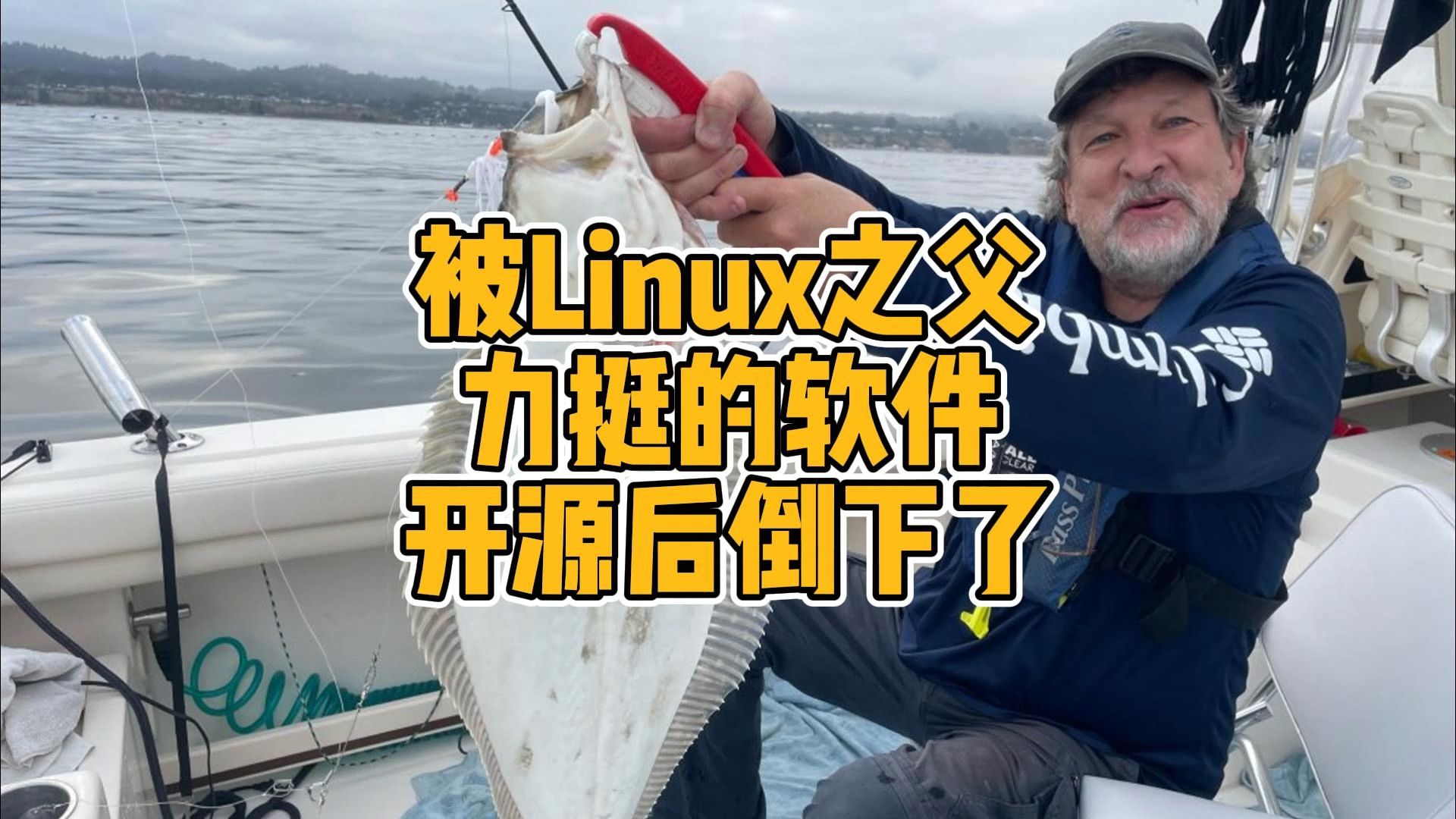 被Linux之父力挺的软件,开源后倒下了哔哩哔哩bilibili