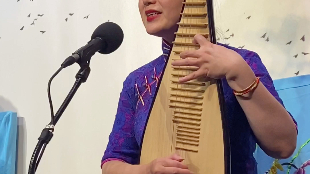 评弹秦淮景金陵十三钗插曲原唱琵琶弹唱