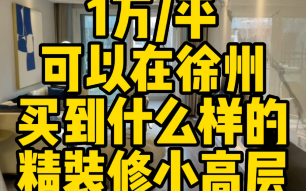 单价1万每平方可以在徐州,买到什么样的精装修小高层哔哩哔哩bilibili