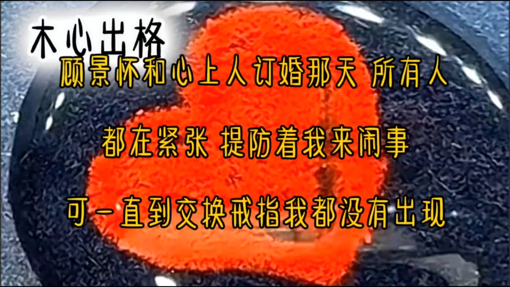 顾景怀和心上人订婚那天,所有人都在紧张,提防着我来闹事,可一直到交换戒指我都没有出现哔哩哔哩bilibili