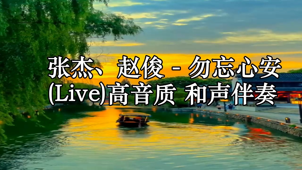张杰,赵俊 - 勿忘心安 (live)高音质 和声伴奏