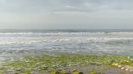 打卡圣地,赏心悦目,青岛西海岸金沙滩第一海水浴场,看日出美景哔哩哔哩bilibili