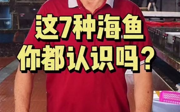 这7种海鱼,你都能叫出名字吗能认出5种哔哩哔哩bilibili