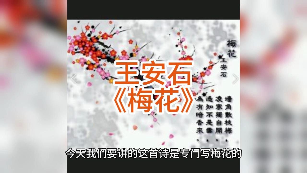 小學生必背的古詩詞呀~王安石《梅花》