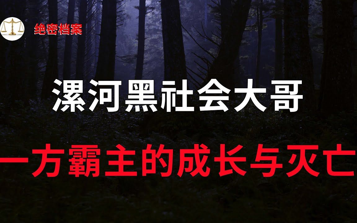 漯河呼风唤雨叱诧风云的黑社会大哥,公安厅打黑办直接参与,一方霸主的成长与灭亡  大案要案纪实录  绝密档案哔哩哔哩bilibili