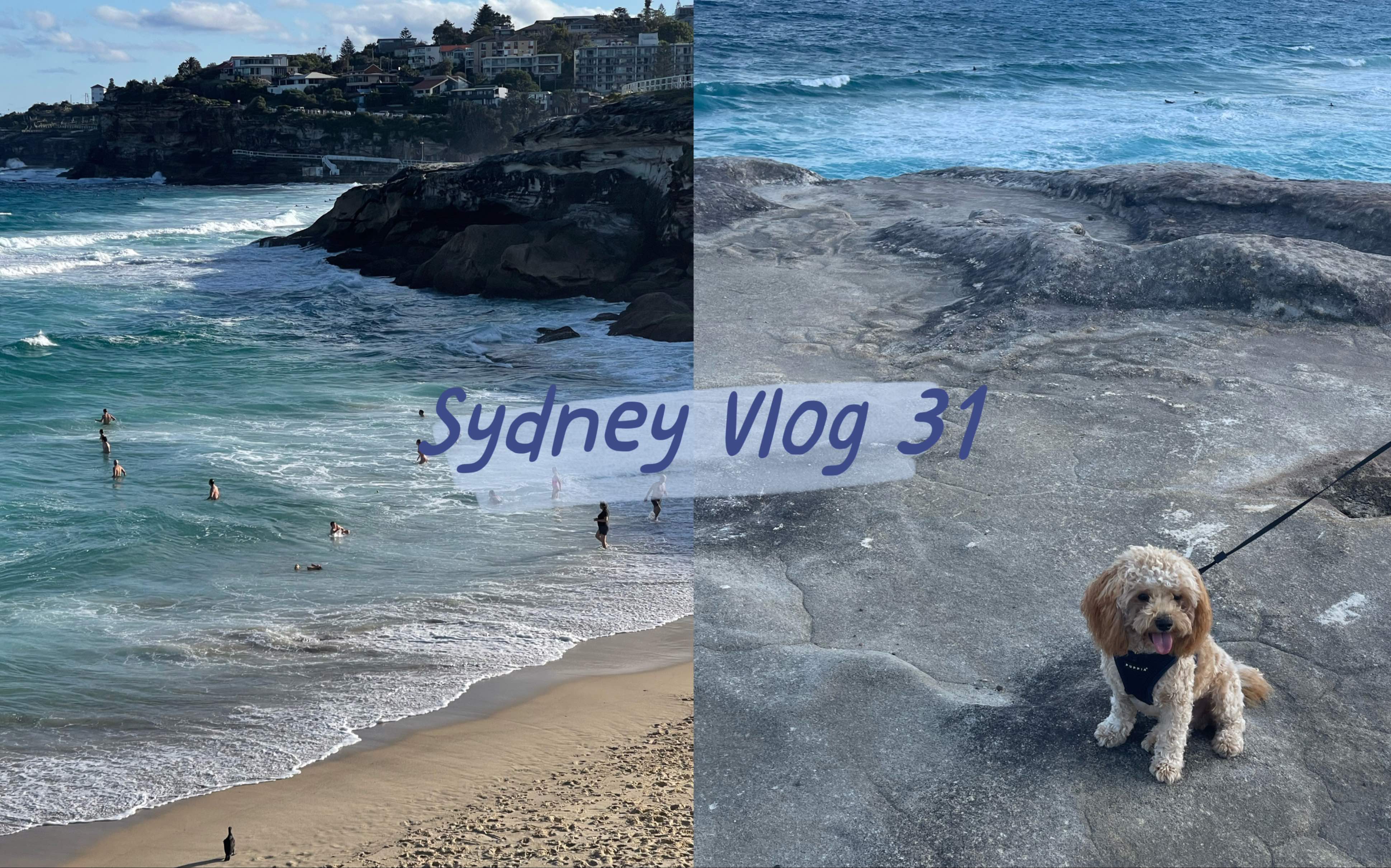 申请出国留学个人简历模板留学在线 申请出国留学个人简历模板留学在线