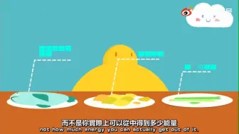 Download Video: 【Ted科普】：《吃不胖的秘诀》