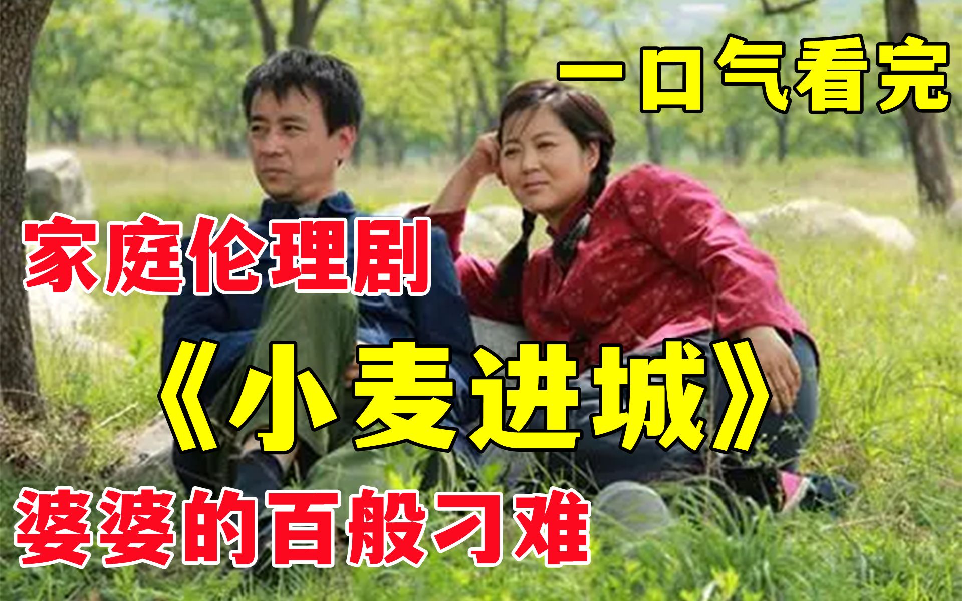 软饭男的多次出轨,王小麦却不离不弃