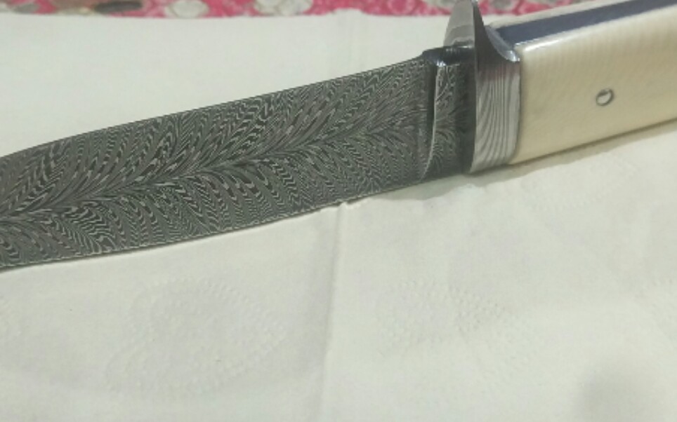 一把精致的羽毛大马loveless小猎刀二号剪辑师作品笨熊崽儿