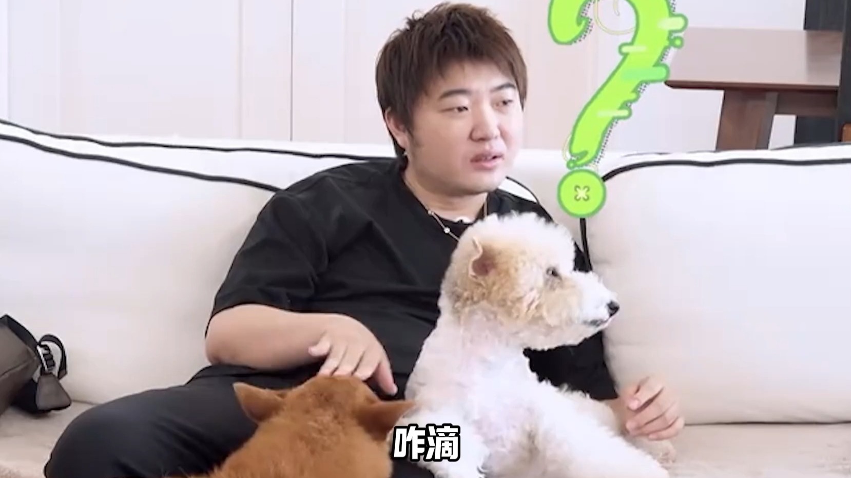 吴彤才是《王牌对王牌》的mvp,沈腾贾玲就是躺赢狗!