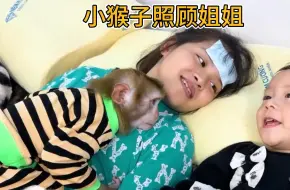 Tải video: 姐姐生病了，小猴子陪着她，心疼坏了