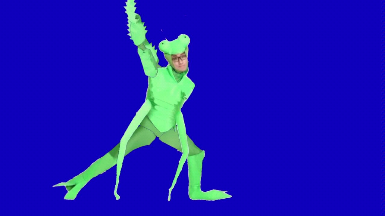 挥舞手臂的泽野螳螂_哔哩哔哩 (゜-゜)つロ 干杯~-bilibili