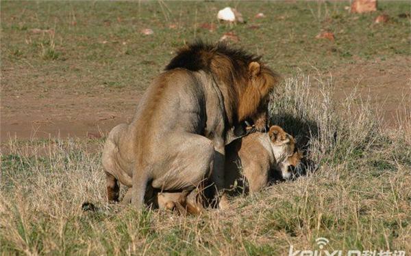 最适合饭后茶余的游戏_哔哩哔哩 (゜-゜)つロ 干杯~-bilibili