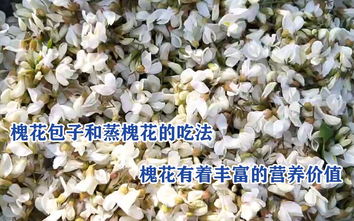 槐花的原味蒸吃法,清香浓郁香甜可口,槐花具有止血凉血的功效,增加心肌收缩能力,预防冠心病、心绞痛、心肌缺血、心律失常、冠状动脉硬化作用,...