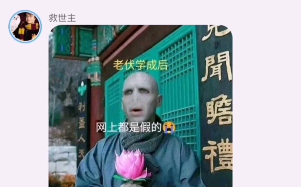 [图]《当 霍 格 沃 茨 有 聊 天 群》