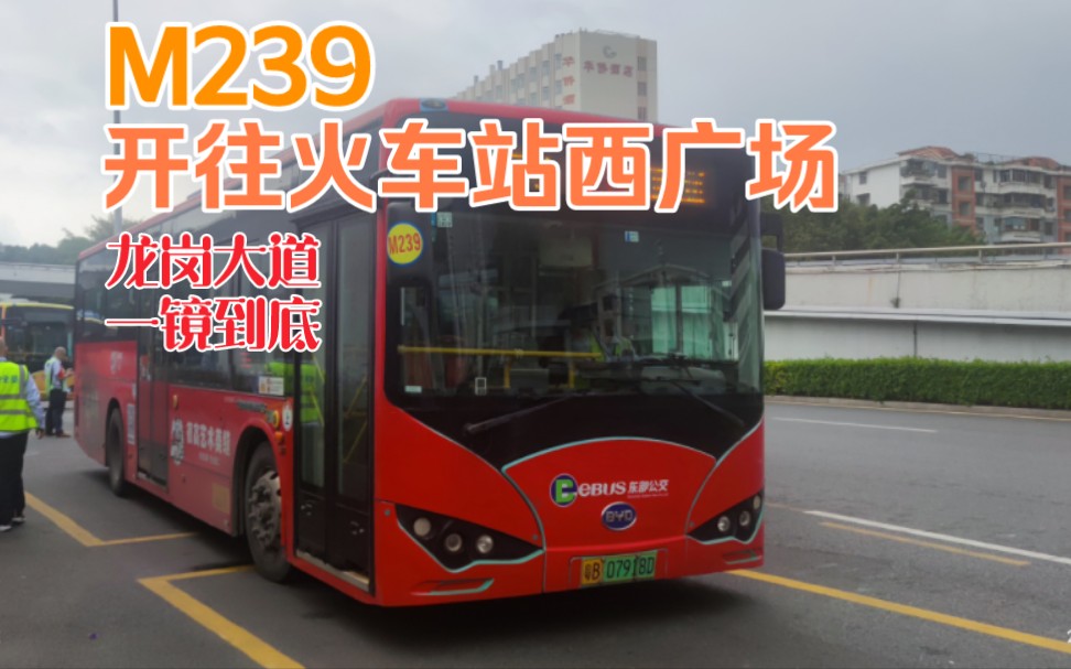[贯穿龙岗大道] 深圳公交m239——火车站西广场