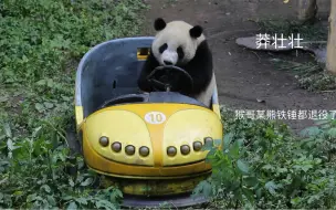 Скачать видео: 【四喜丸子莽壮壮】210427重动，现在怀疑你危险驾驶，马上跟我走一趟！