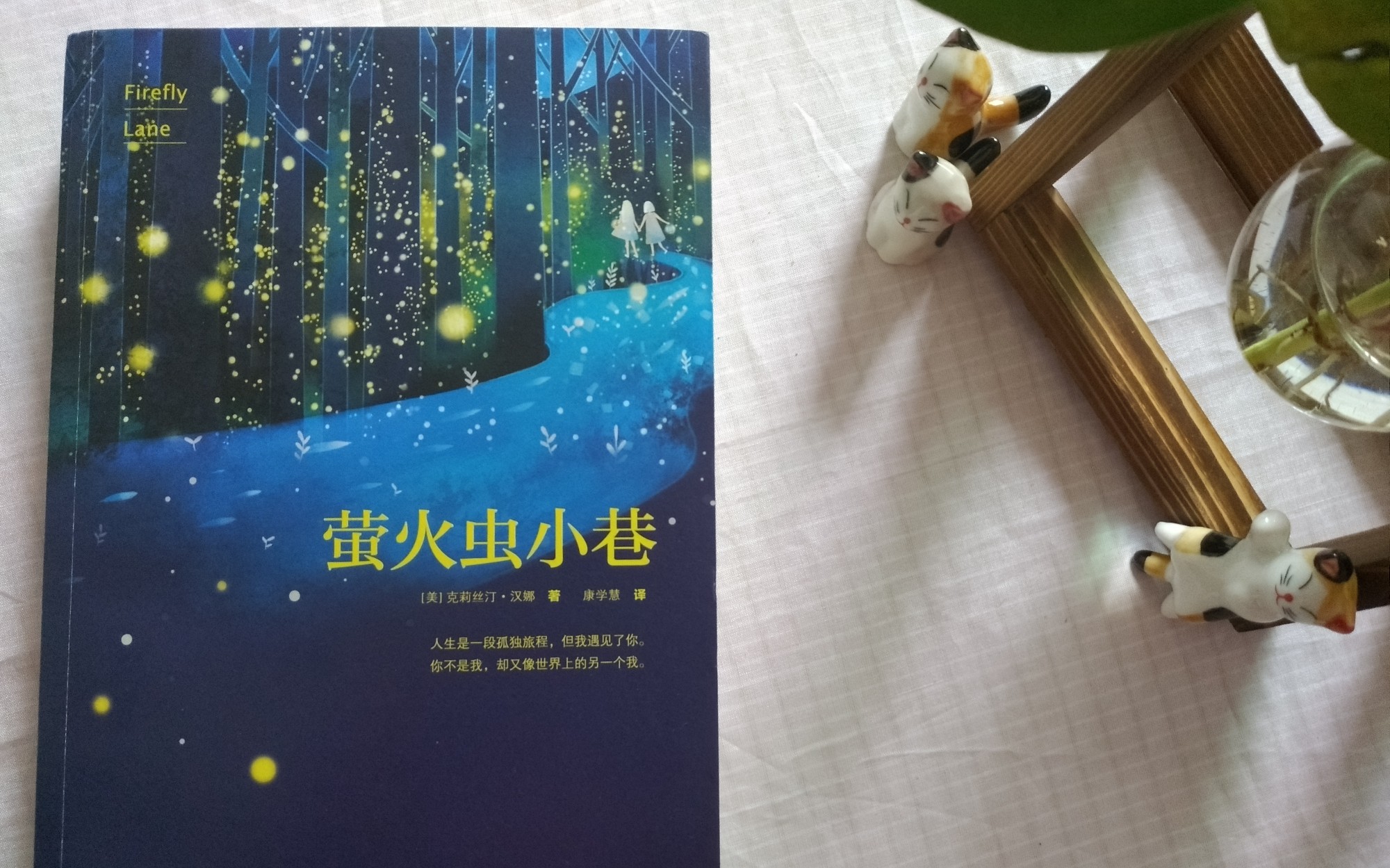 [读书]《萤火虫小巷》带你进入书里,希望能够坚持阅读!