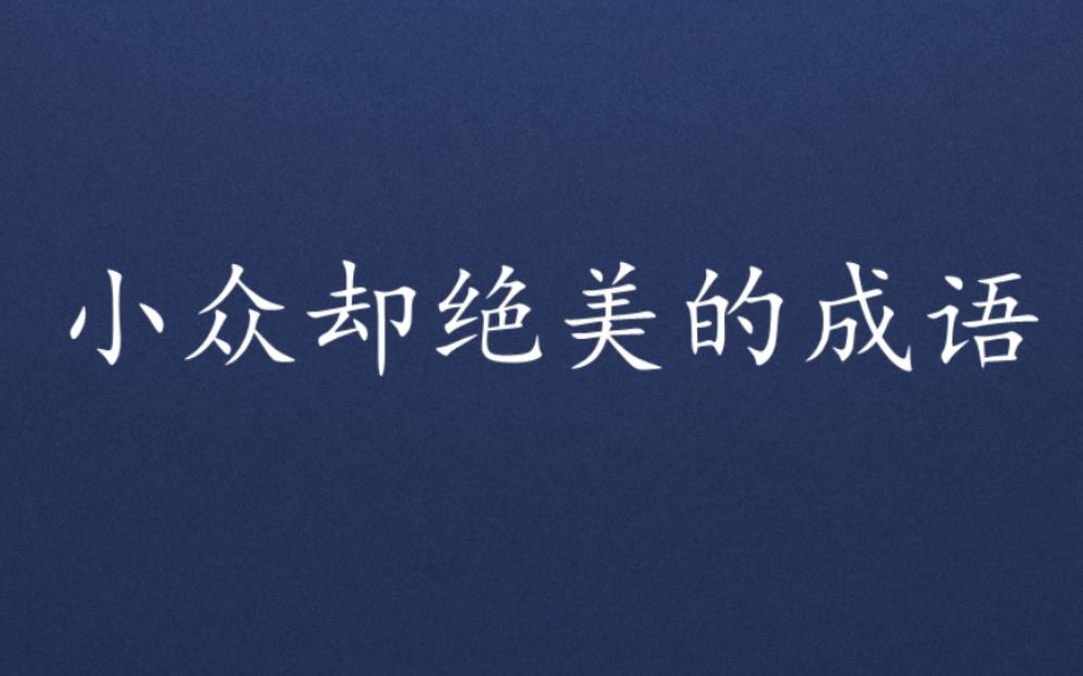 汇总一下那些小众却绝美的成语|知识文化积累哔哩哔哩bilibili