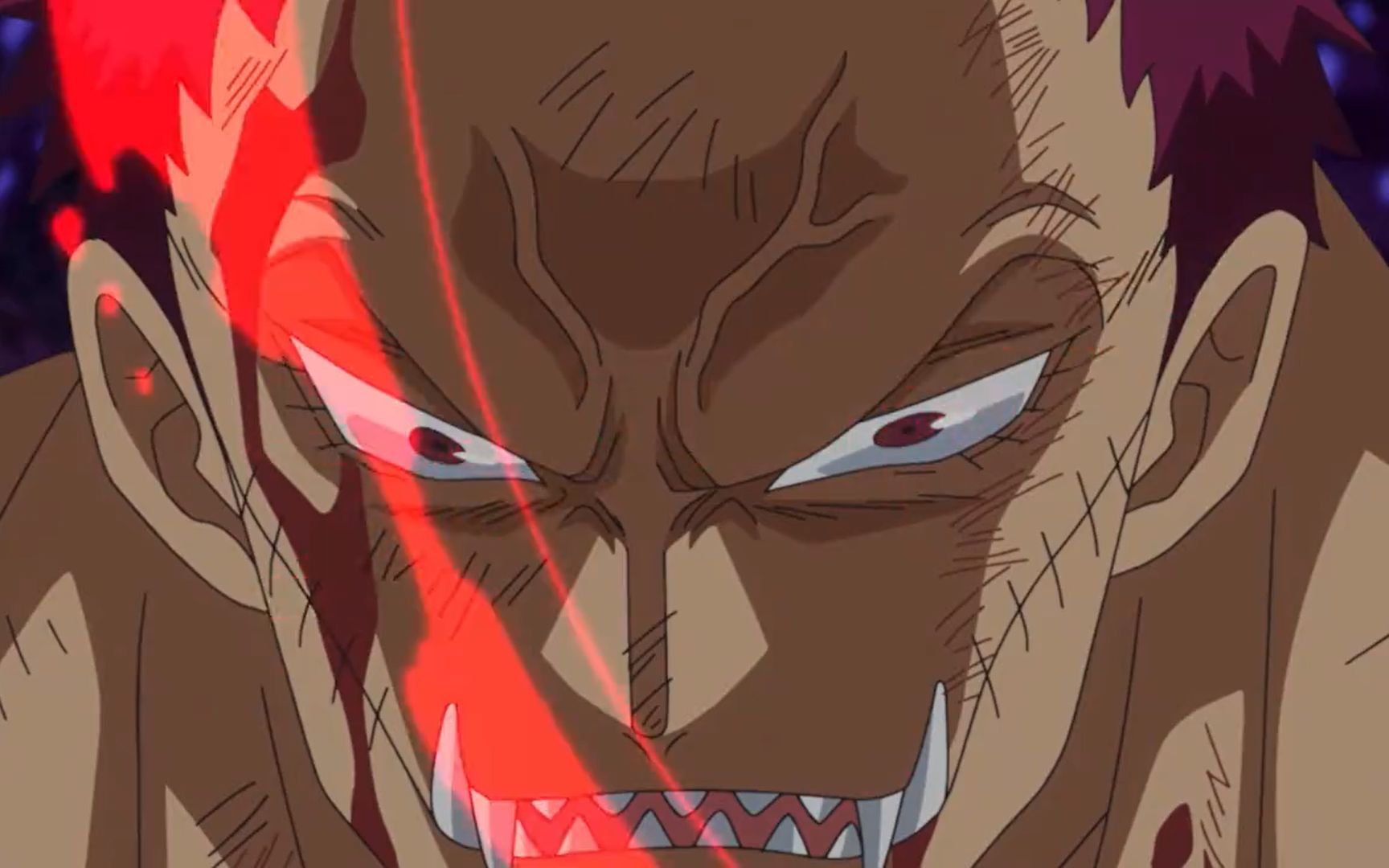 海贼王卡二为什么不能杀路飞预见未来的见闻色无法撼动的家族背景