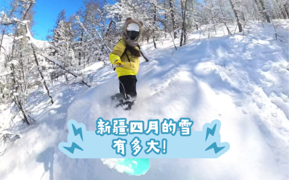 听说今天下大雪,你们哪里多少度?哔哩哔哩bilibili