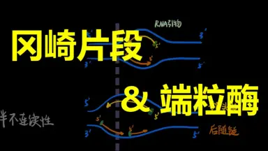 岡崎武士-哔哩哔哩_Bilibili