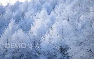 Скачать видео: 视频素材 ▏h480 2K画质冬天下雪雪景唯美空镜头超清特写冬季树叶上的雪花积雪雪花飘落冰雪奇缘儿童元旦晚会公司年会春晚晚会节目大屏幕舞台LED背景视频素材