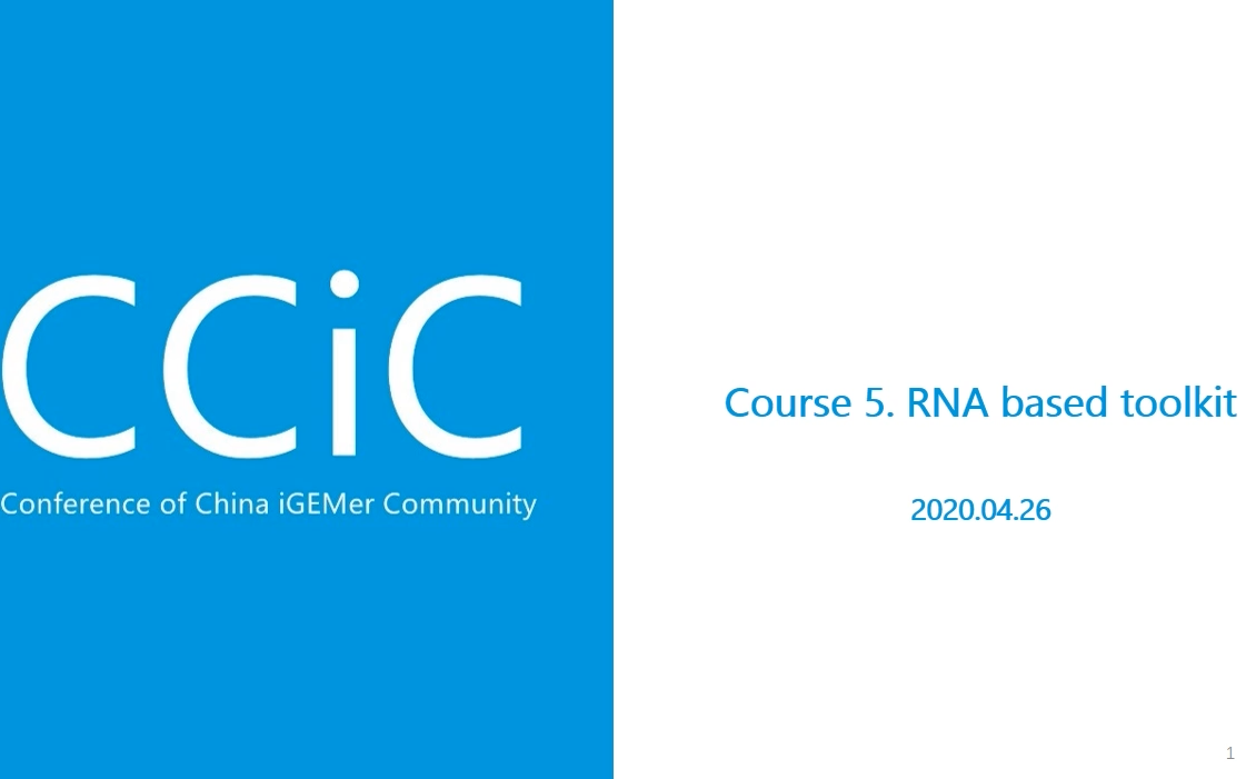 【iGEM CCiC】CCiC合成生物学系列课程Course 5. RNA based toolkit哔哩哔哩bilibili