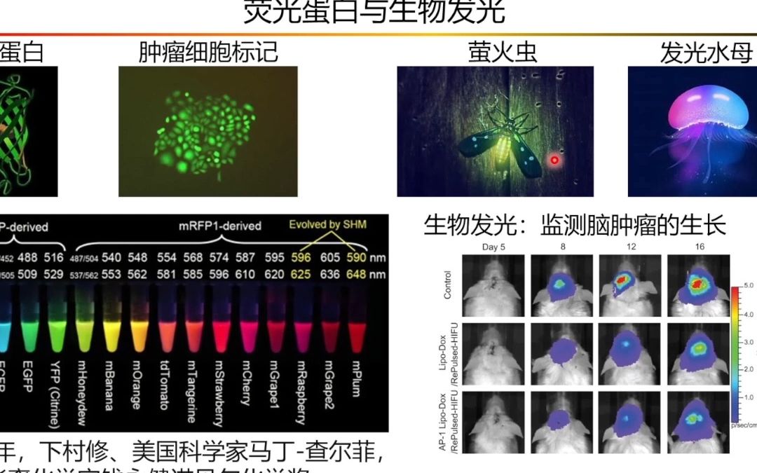 [图]20220909-南开大学黄灵-五彩缤纷的染料世界