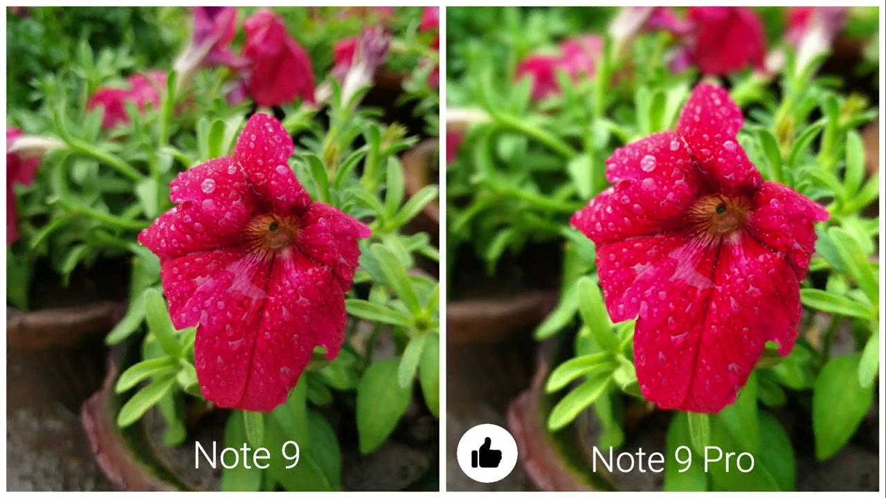 國產千元機紅米note9vs紅米note9pro拍照對比視頻下方有鏈接