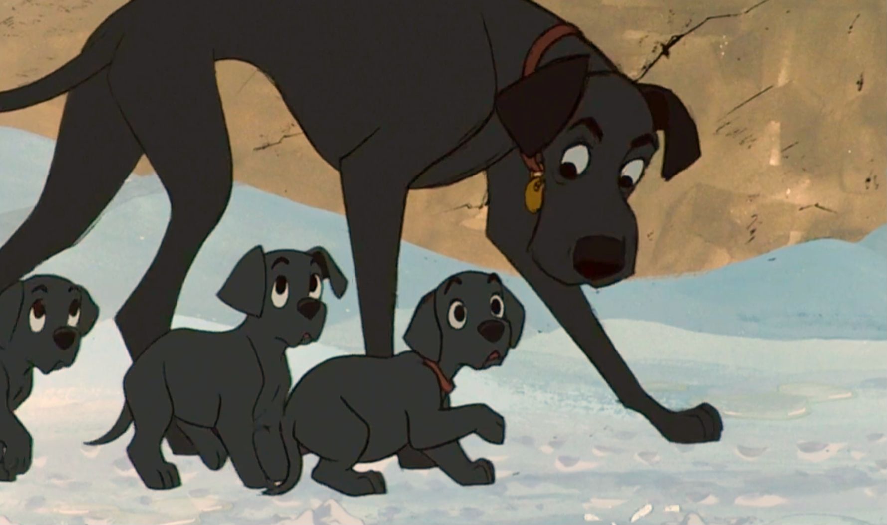 为了躲过库伊拉的追捕,斑点狗把自己伪装成拉布拉多《101忠狗》