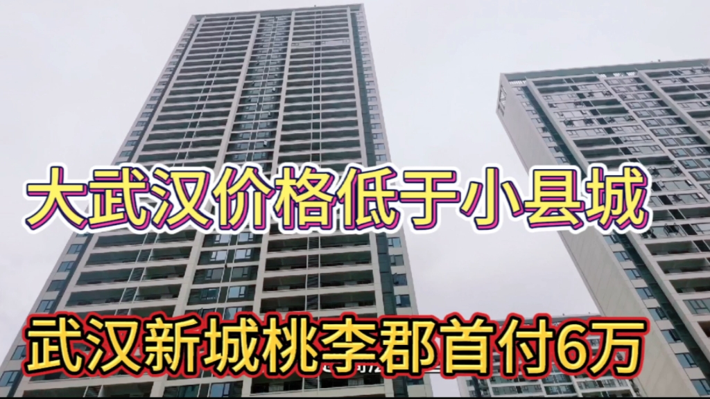 武汉东西湖新城桃李郡首付6万入住武汉户口!房价低于县城,买吗哔哩哔哩bilibili