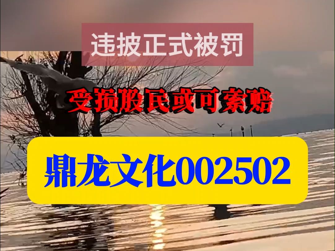 虚增利润,鼎龙文化002502正式被罚五百万,受损股民或可索赔哔哩哔哩bilibili