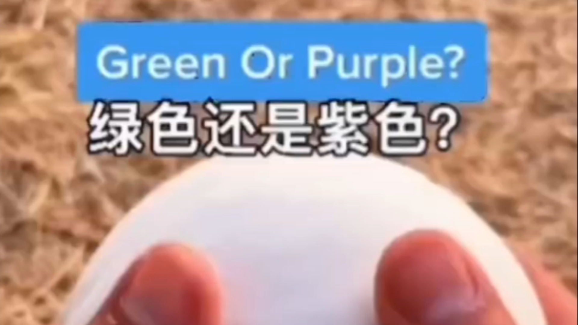 green or purple?网络游戏热门视频