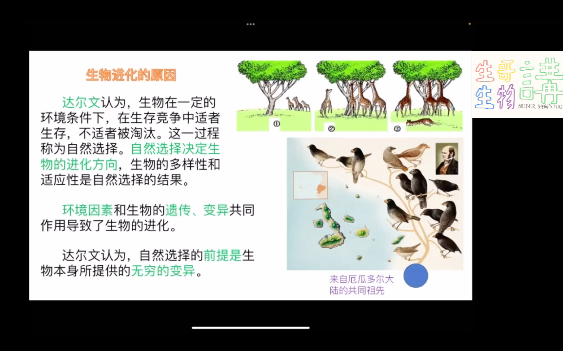 [图]【生哥讲生物】中考知识补丁44 生命的起源和进化