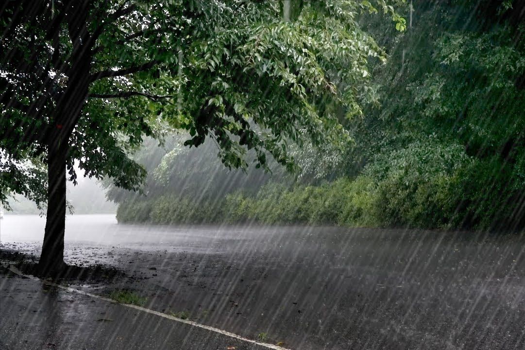 [图]【真实雨声】在狂风暴雨中入睡