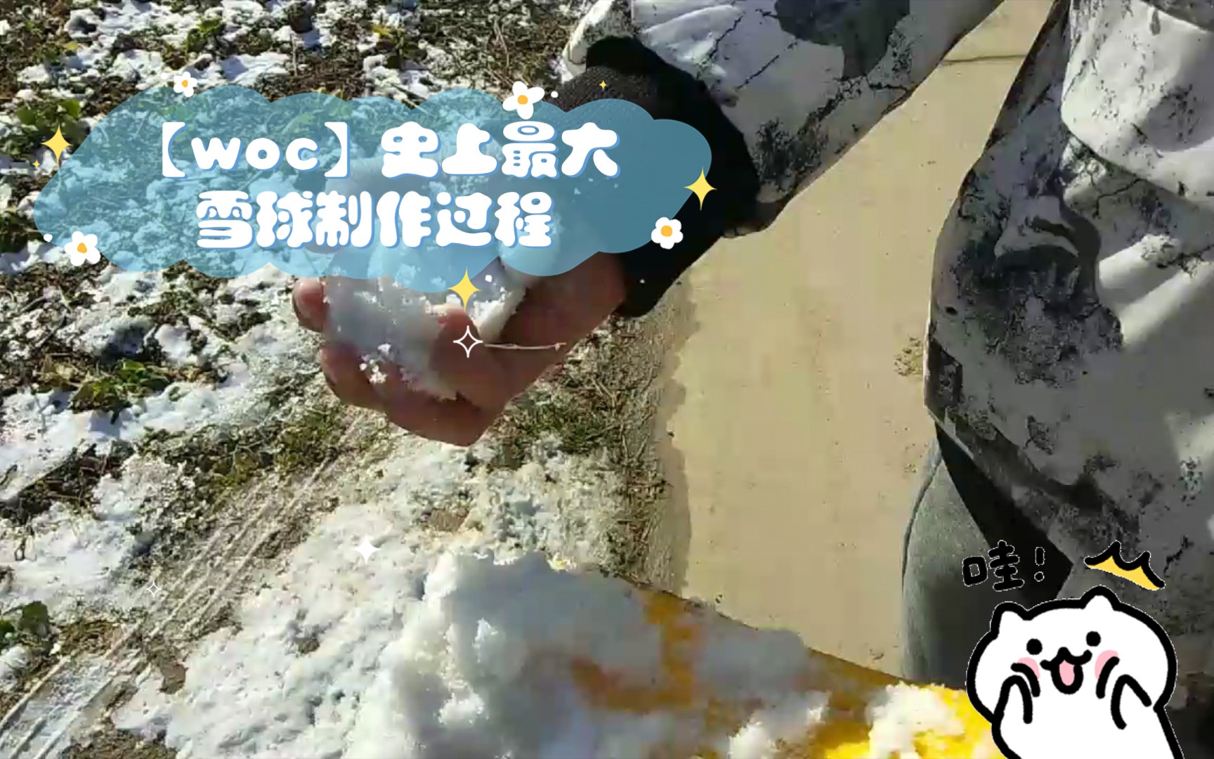 [图]【woc】史上最大雪球制作过程