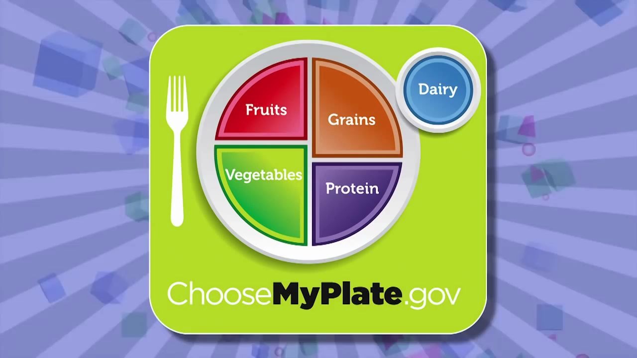 我的盘子里食物的分类】fit kids episode 66 my plate food groups